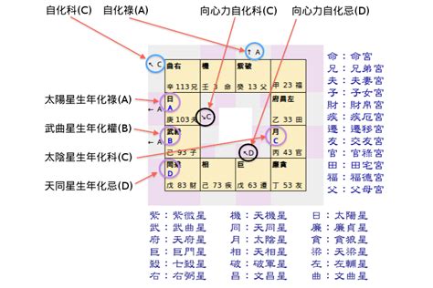 紫微斗數排盤|紫微斗數 ️紫微命盤